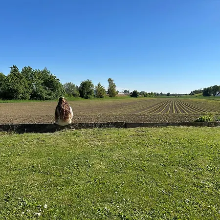Gaestezimmer Mia Ubytování v soukromí Donauwörth