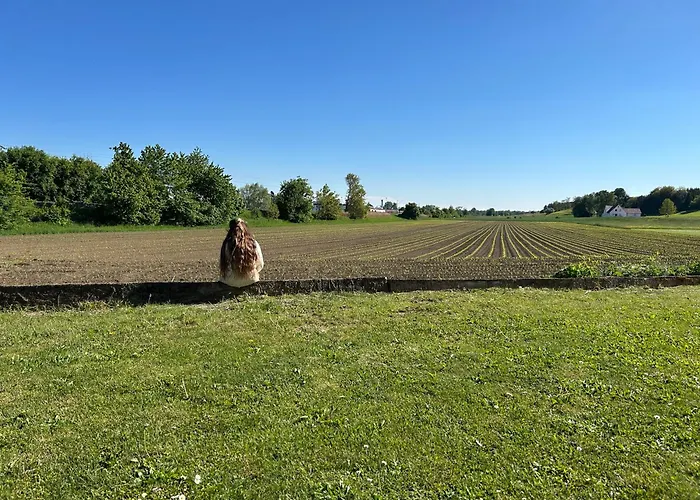 Gaestezimmer Mia Séjour chez l'habitant Donauwörth